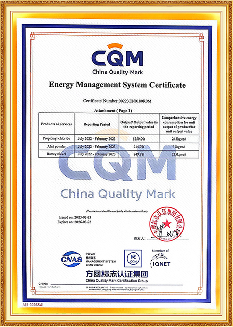 Certificado del sistema de gestión de energía CQM otorgado a Shandong Jiahong Chemical, lo que afirma el compromiso de la empresa con las prácticas energéticas sostenibles en la producción química.